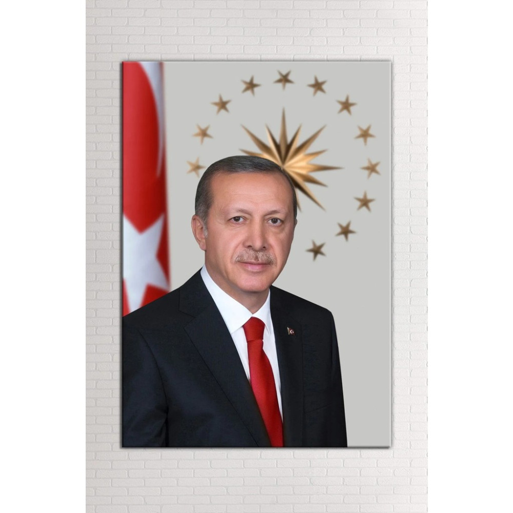 Mgi Design Recep Tayyip Erdoğan Başkan Erdoğan Rte Kanvas Tablo - 35 x 50 cm - Ahşap Kanvas Tablo Fiyatı