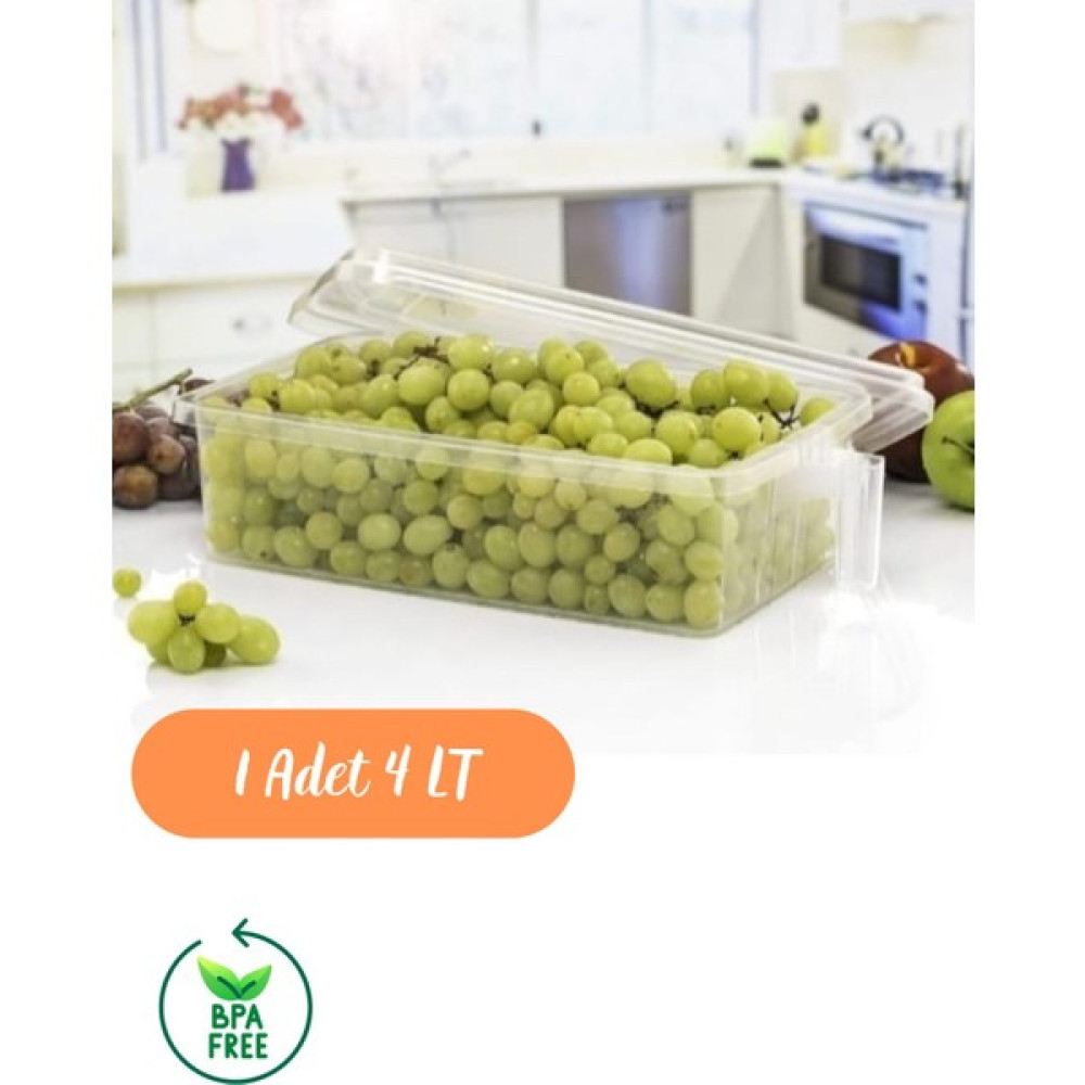 Microlife 6'lı Kulplu 4 Litre Saklama Kabı Bpa Içermez Erzak Kabı Kulplu Saklama Organizer Oto Boyaları Fiyatı