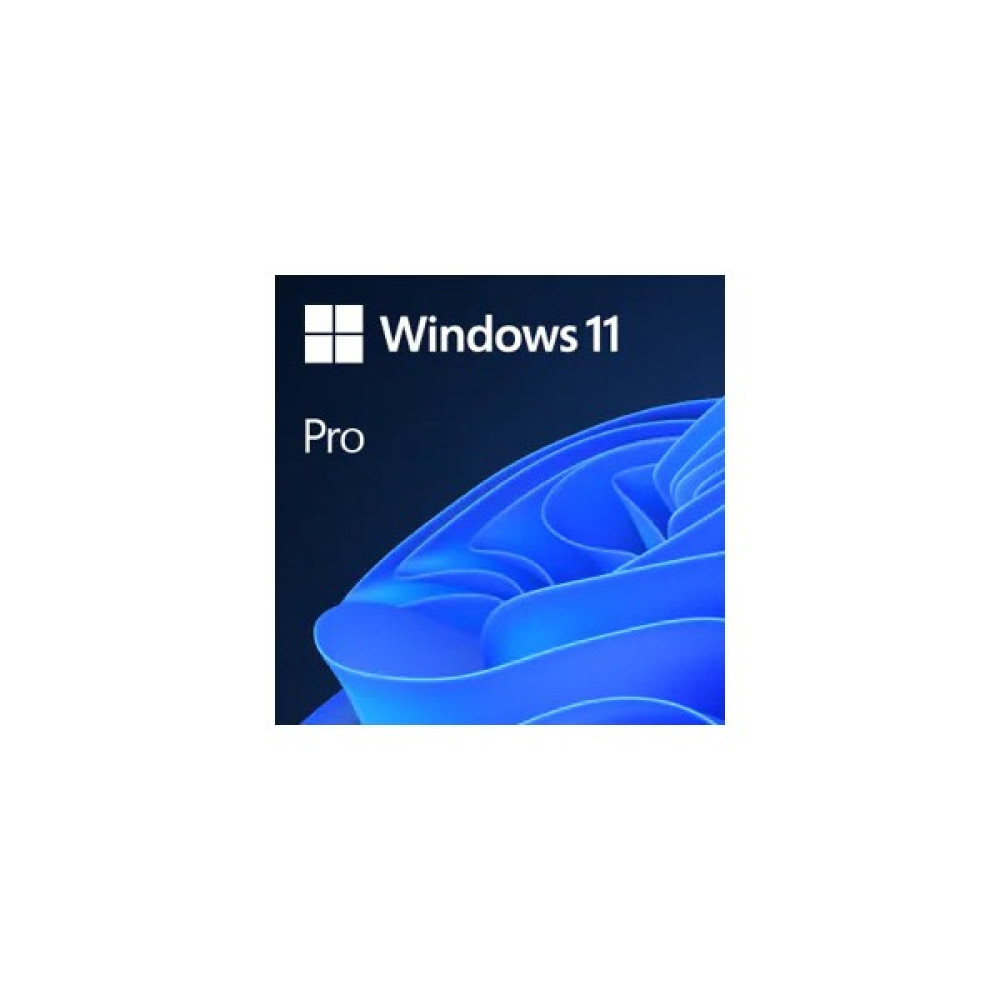 Microsoft Windows 11 Professional-Elektroniklisans Oto Boyaları Fiyatı