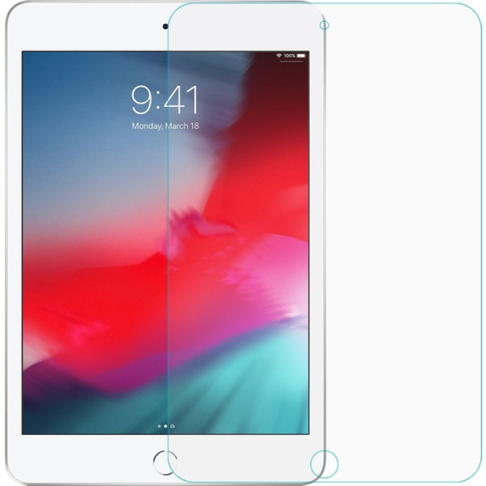 Microsonic Apple iPad Mini 5 7.9'' 2019 (A2133-A2124-A2125-A2126) Nano Cam Ekran Koruyucu Tablet Aksesuarı Fiyatı