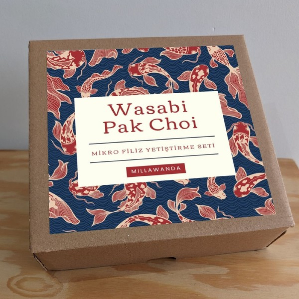 Mikro Filiz Yetiştirme Kiti - 2'li Wasabi & Pak Choi Bitki Fiyatı
