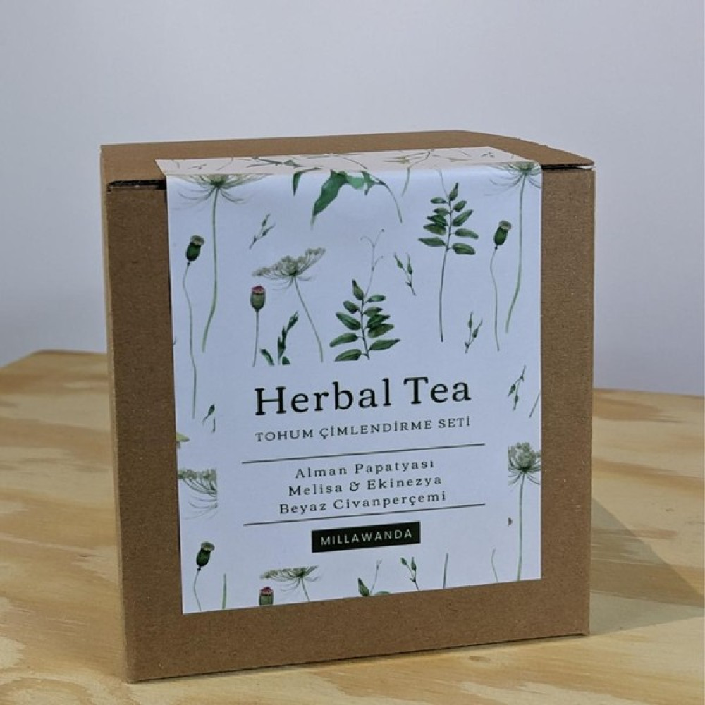 Millawanda Wellness Herbal Tea Tohum Çimlendirme Seti - Alman Papatyası, Melisa, Ekinezya, Beyaz Civanperçemi Oto Boyaları Fiyatı