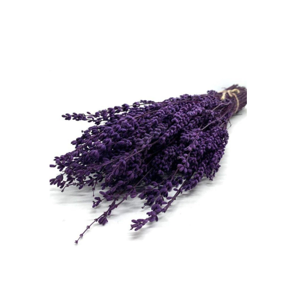 Mimoza Bitki Market Şoklanmış Doğal Lavanta Demeti Natural Lavender Bundle Mor 40-50 Cm Dekoratif Bahçe Ürünleri Fiyatı
