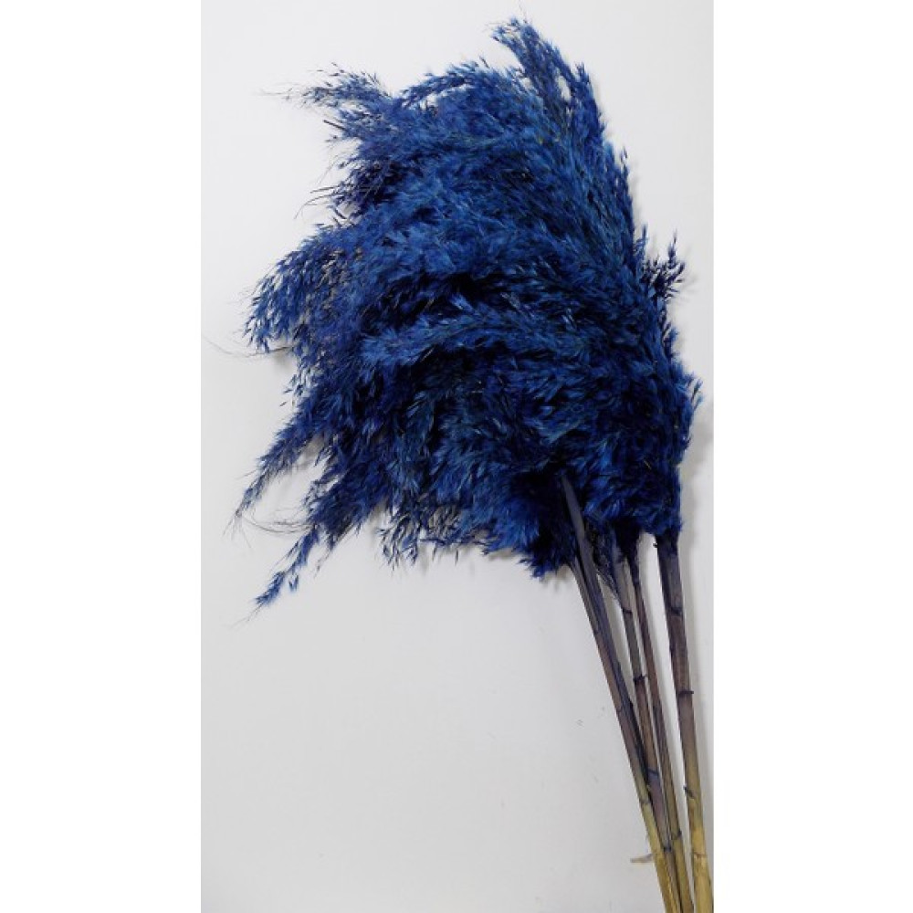 Mimoza Çiçek Mimozaçiçek 7li Dekoratif Pampas Ev & Dekorasyon Aksesuarları Fiyatı