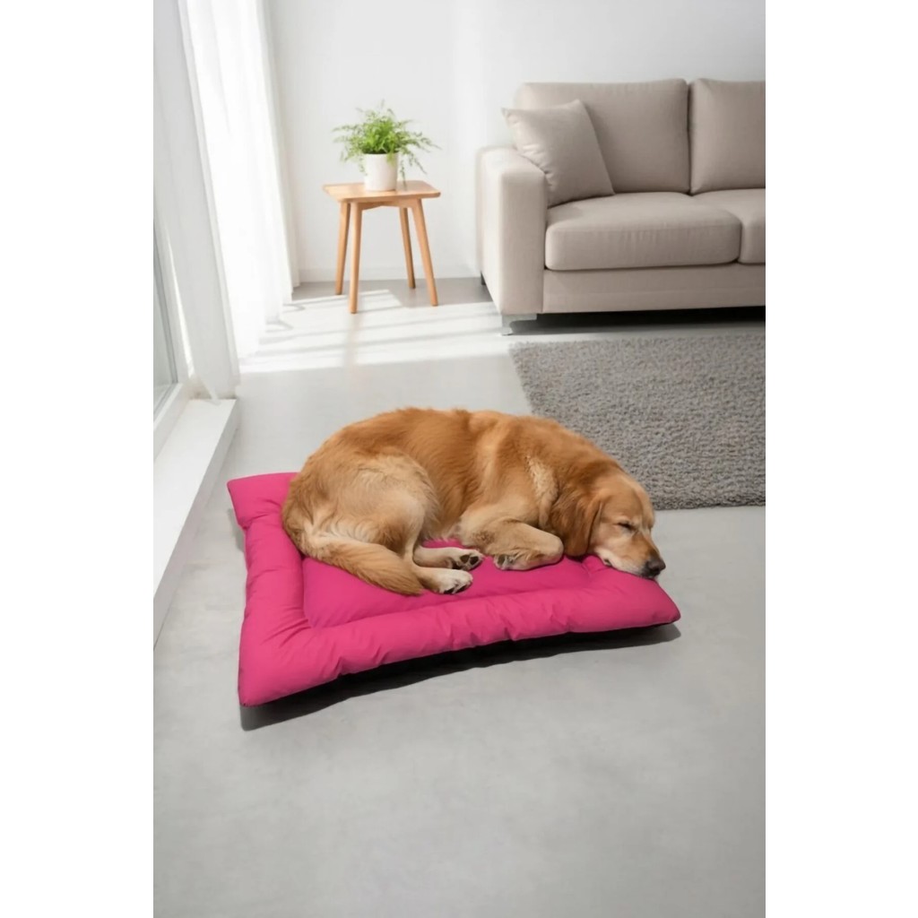 MİNDERX Köpek Minderi, Dış Mekan Minderi - Pembe - 35 x 50 cm SSD / Solid State Drive Fiyatı