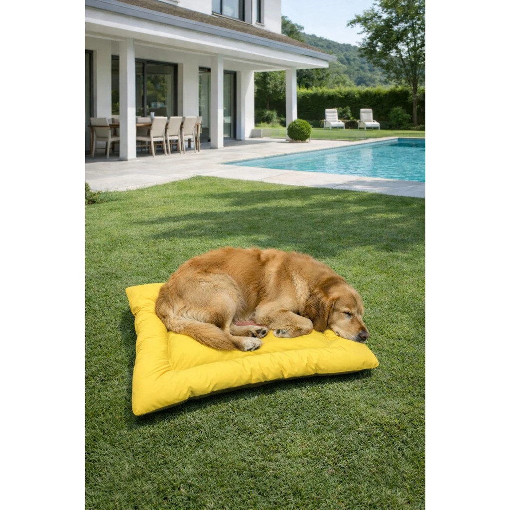 MİNDERX Köpek Minderi, Dış Mekan Minderi - Sarı - 35 x 50 cm SSD / Solid State Drive Fiyatı