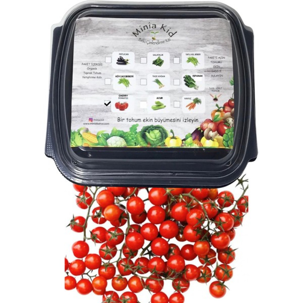 Minia Bahçe Domates (Cherry) Çimlendirme Kiti - 1 Adet Tohum Fiyatı