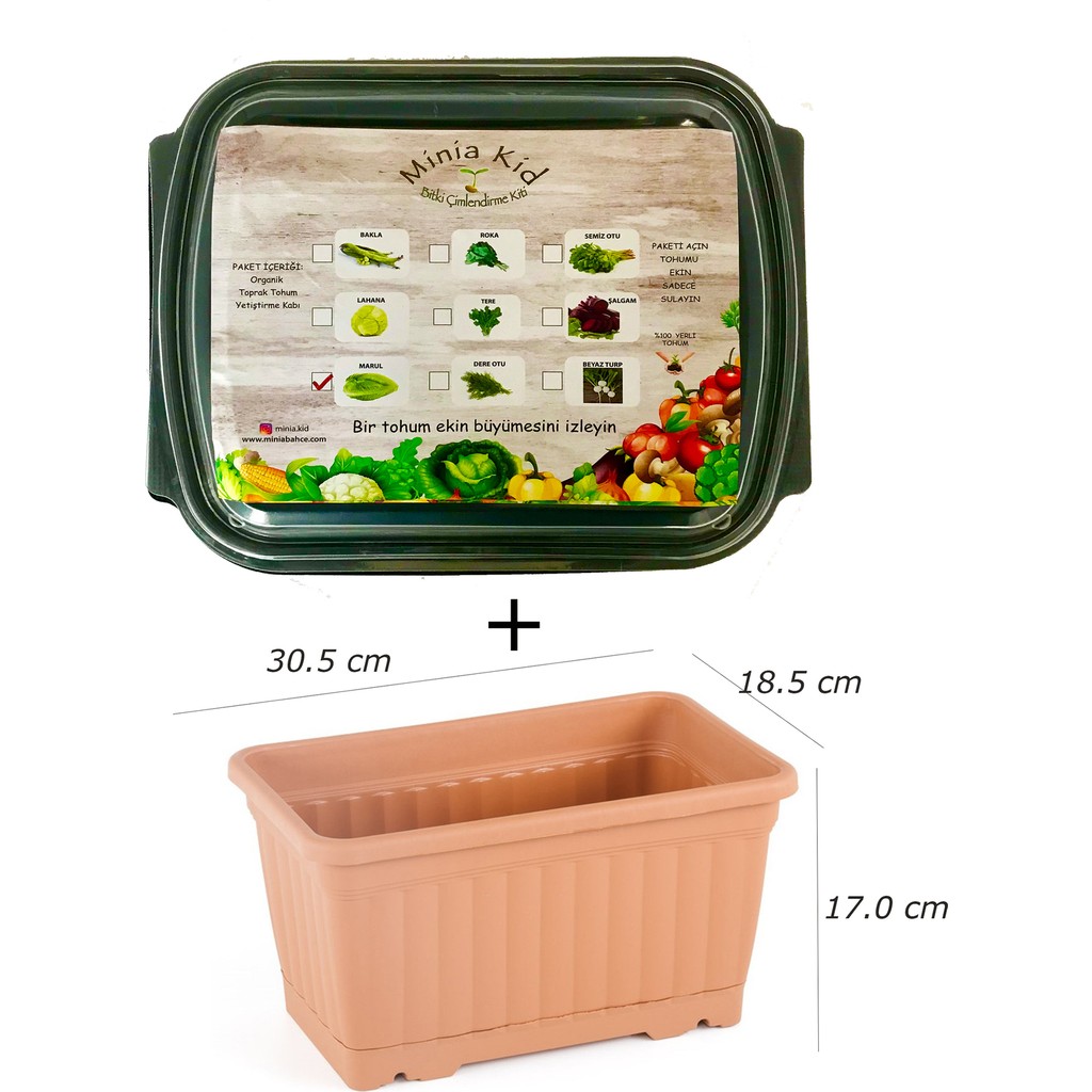 Minia Bahçe Minia Kid Marul Çimlendirme Kiti ve Saksı - 1 Adet Saksı ve Aksesuarları Fiyatı