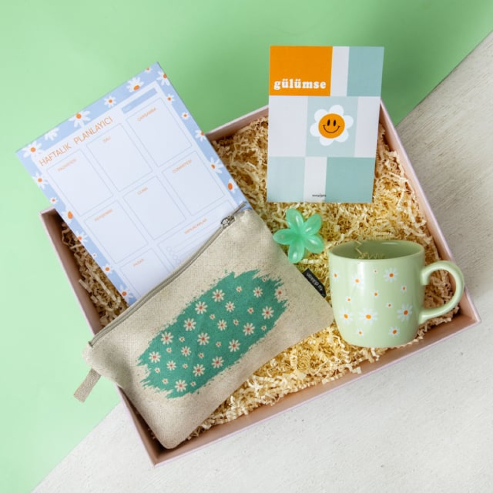 Mint Papatyalı Hediye Kutusu