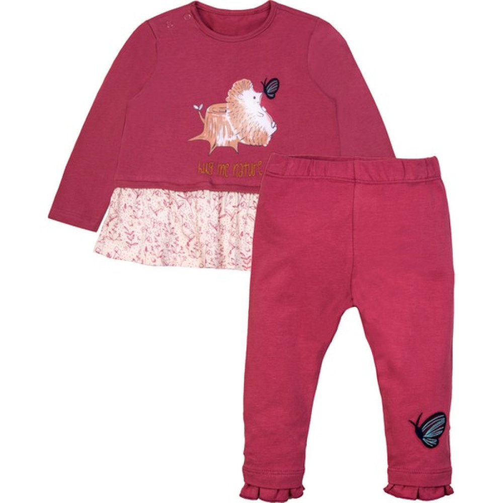 Miny Center Kız Bebek Uzun Kollu Alt Üst Bebek Giysi Takım Fiyatı