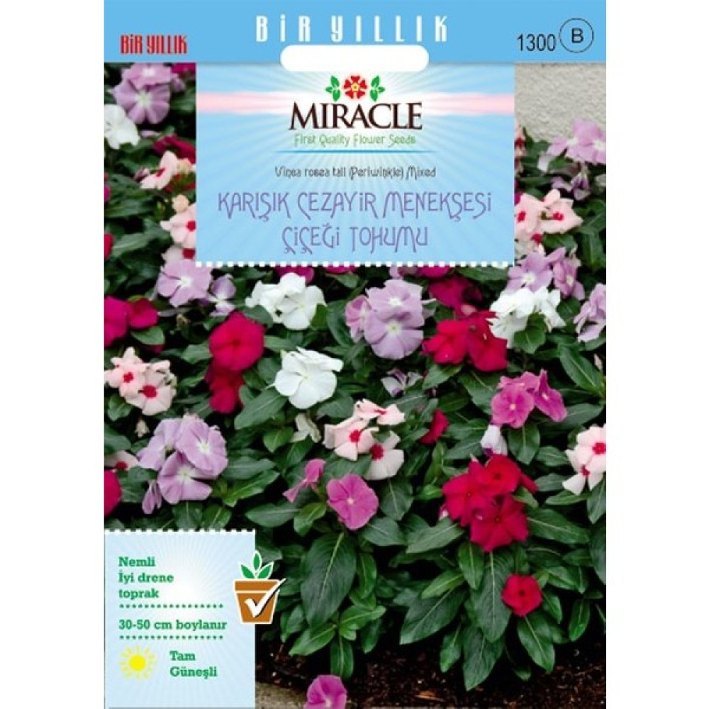 Miracle Tohum Miracle Karışık Renkli Cezayir Menekşesi Tohumu (140 Tohum) Oto Boyaları Fiyatı