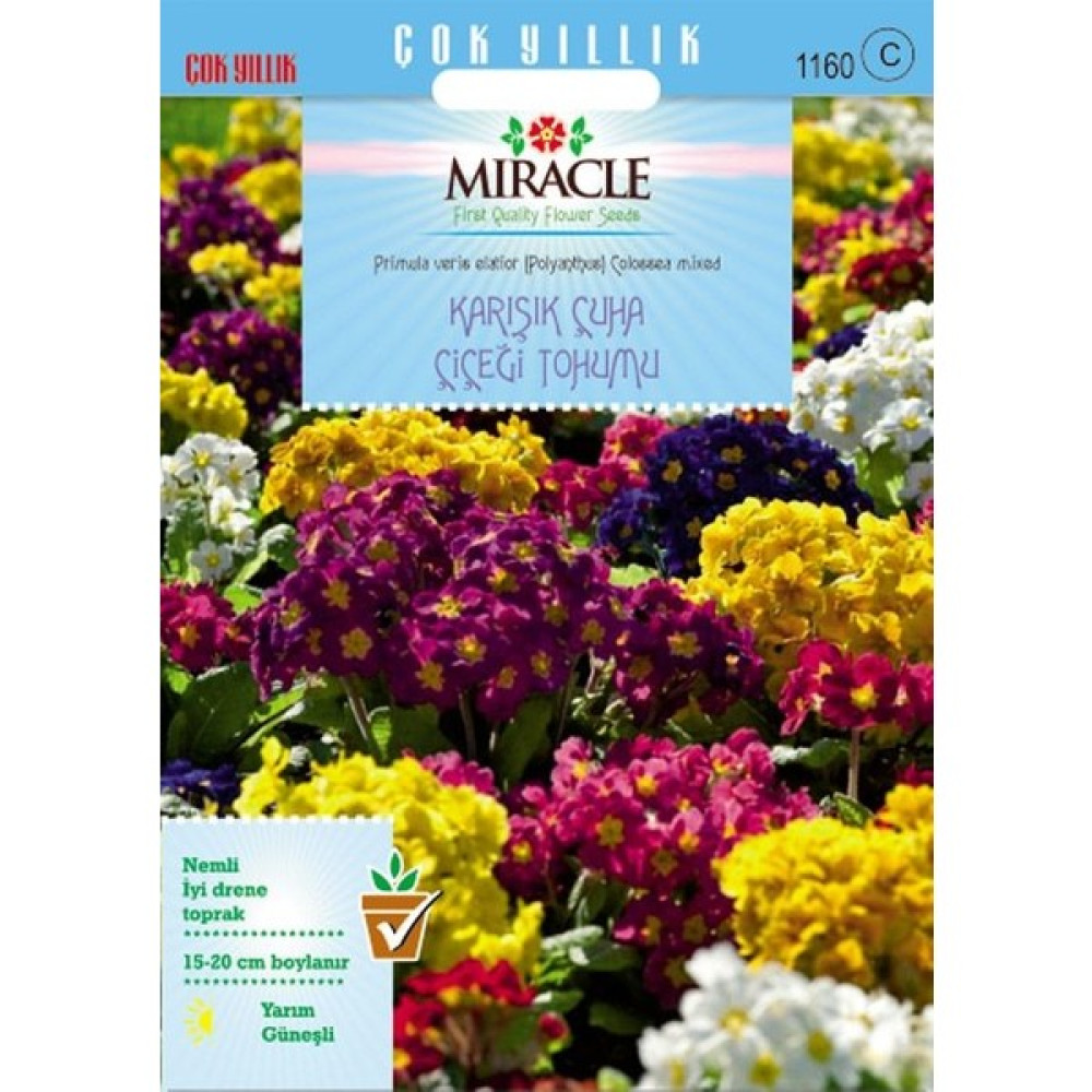 Miracle Tohum Miracle Karışık Renkli Onbir Ay Çuha Çiçeği Tohumu (50 tohum) Tohum Fiyatı