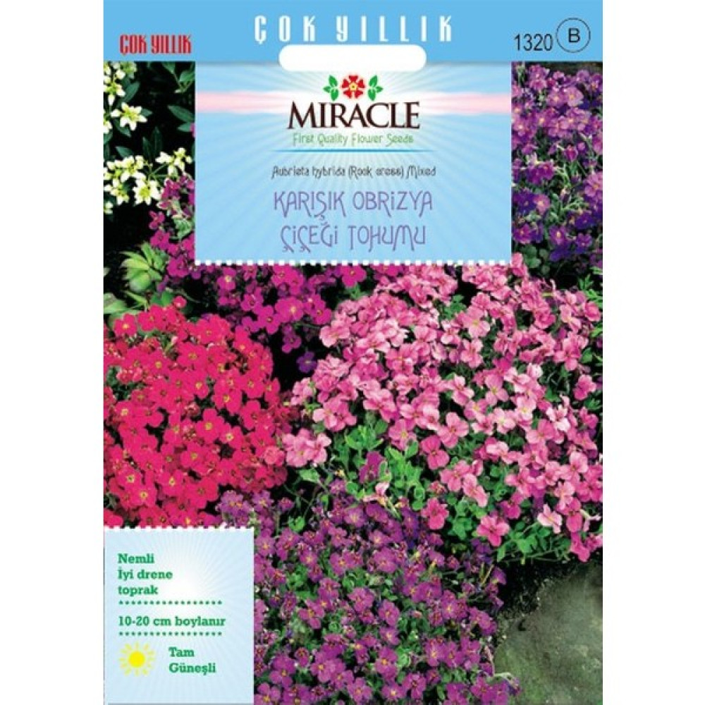 Miracle Tohum Miracle Rock Cress Aubrieta Karışık Renkli Obrizya Çiçeği Tohumu (400 tohum) Tohum Fiyatı
