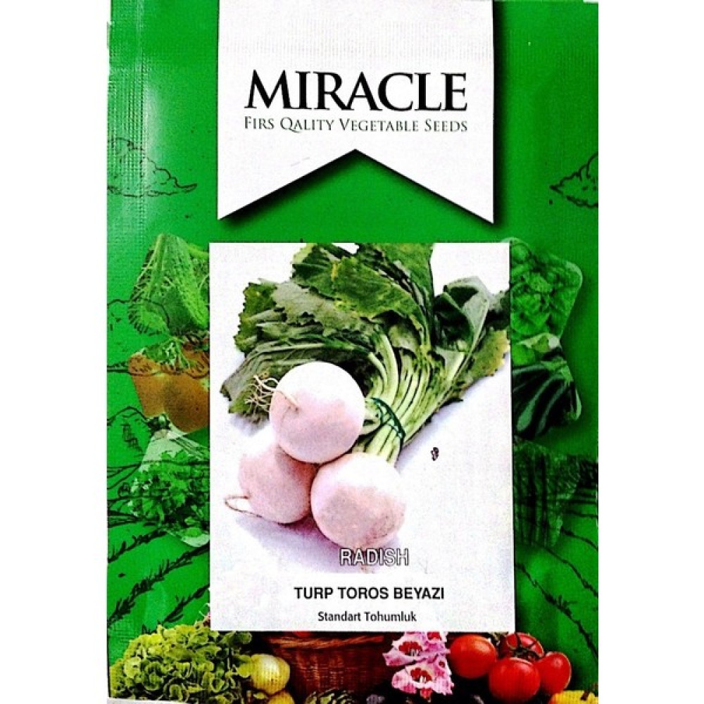 Miracle Tohum Miracle Toros Beyaz Turp Tohumu (10 gram) Oto Boyaları Fiyatı