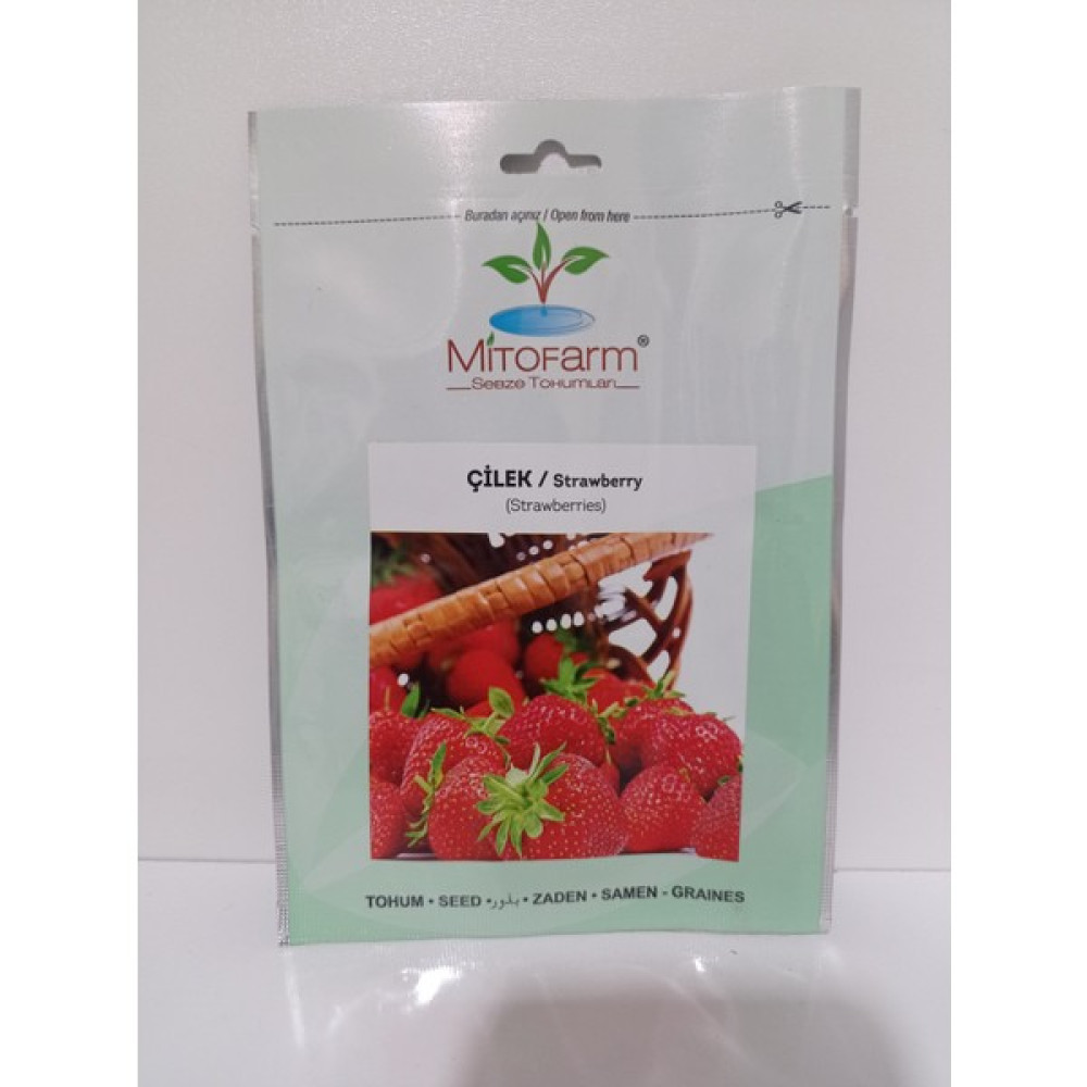 Mitofarm Çilek - 1 gr Oto Boyaları Fiyatı