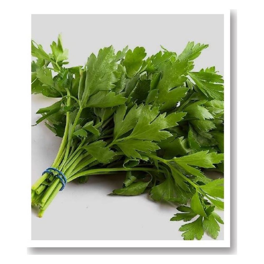 Mitofarm Maydanoz Tohumu(Geniş Yaprak) 25 Gr. - 25 gr Oto Boyaları Fiyatı