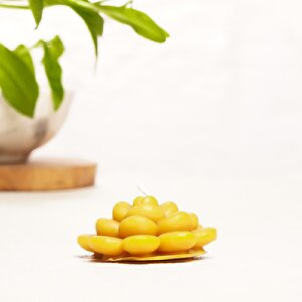 Mitr Lotus Temalı Minimal Balmumu Mum Dekoratif Mum Fiyatı