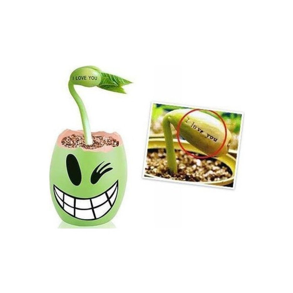 Mix Oyuncak Magic Egg Sihirli Yumurta Filizi (Seni Seviyorum) Fasulye Tohumu Fidan Fiyatı