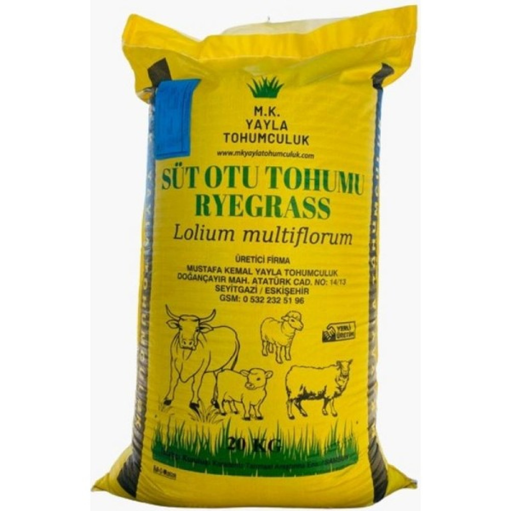 M.K. Yayla Tohumculuk Ilk Adım Süt Otu Tohumu (Ryegrass) Rye Grass Italyan Çimi Reygrass Tetraploid 10 Kg Tohum Fiyatı
