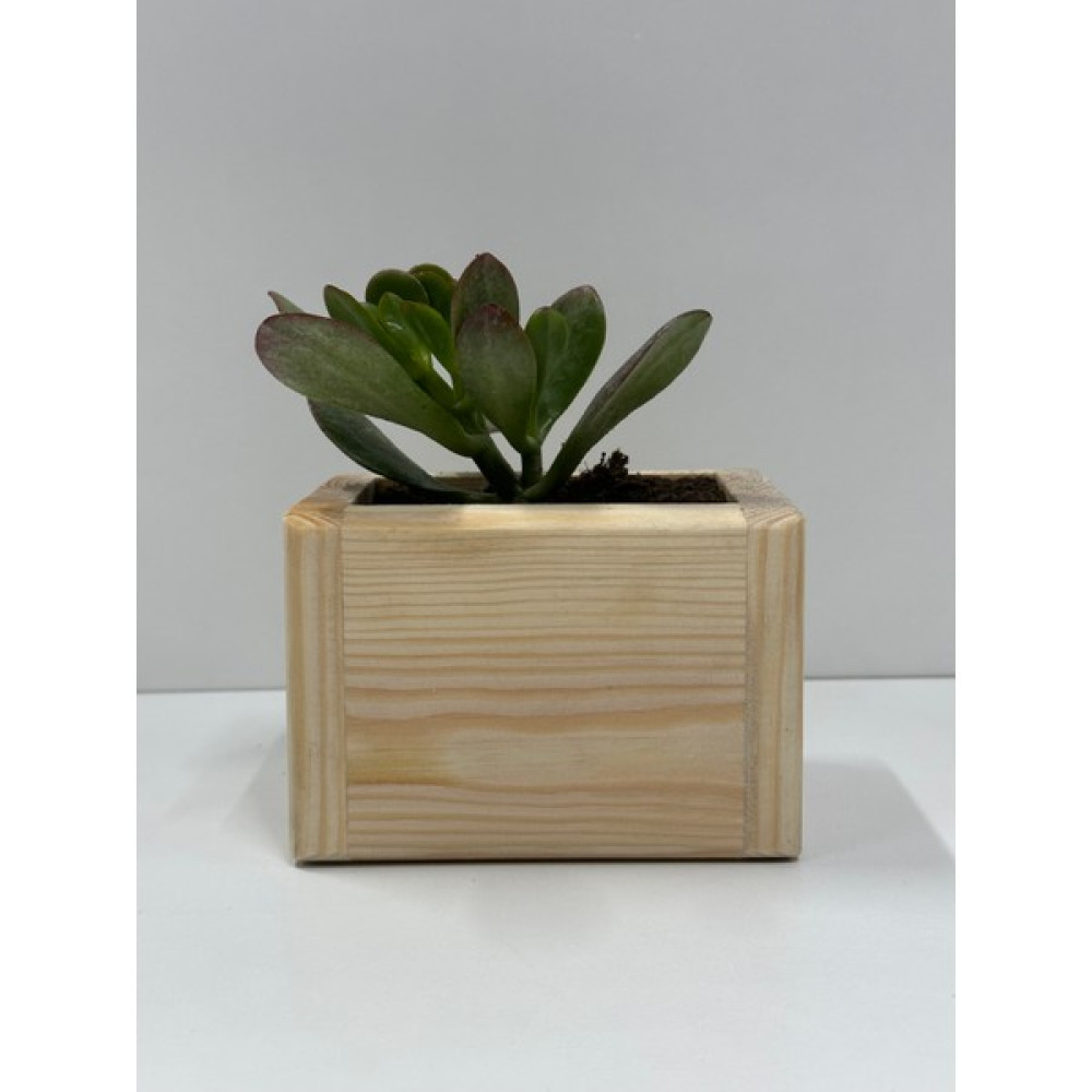 Mn Ahşap Dizayn Üreticiden Ahşap Saksı - 1 Adet - 12.4cm x 8.6cm x 8.5cm Saksı ve Aksesuarları Fiyatı