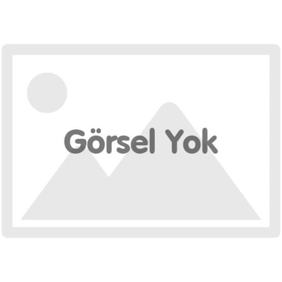 Mobilya Dükkanım 70x170 ARM147 Gri + Gri Karya Sedir