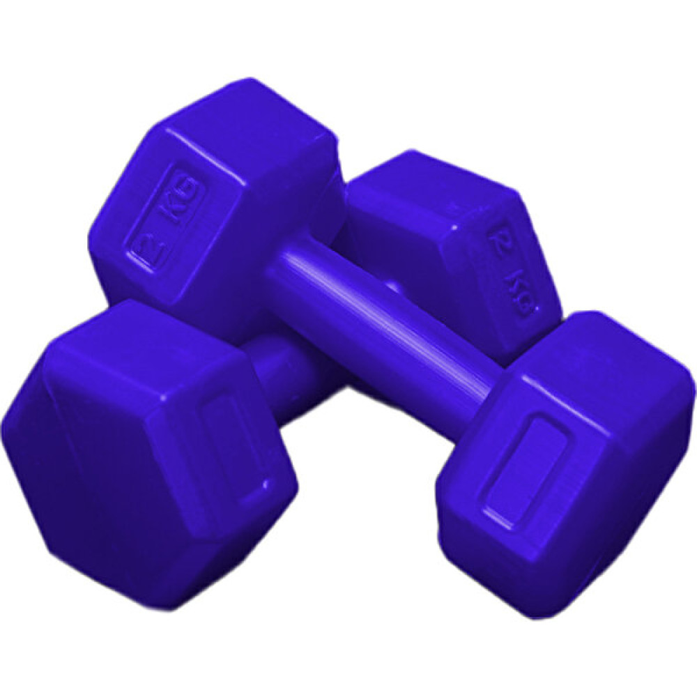 Moccastyle Mavi 2 kg x 2 Adet Toplam 4 kg Dambıl Seti 4 kg Dumbell Set Dambıllar & El / Ayak Ağırlıkları Fiyatı