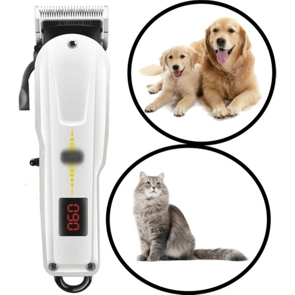 Modanlı Turbo Kedi Köpek Tıraş Seti Pet Evcil Hayvan Tüy Kesme Traş Tıraş Makinesi Evcil Hayvan Ürünleri Fiyatı