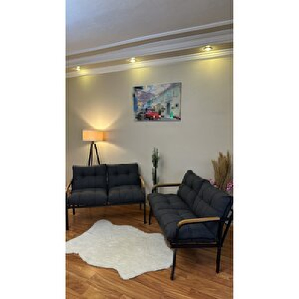 Modern Style Home Güneş Oturma Gurubu 2 -2 Koltuk Takımı / Seti Fiyatı