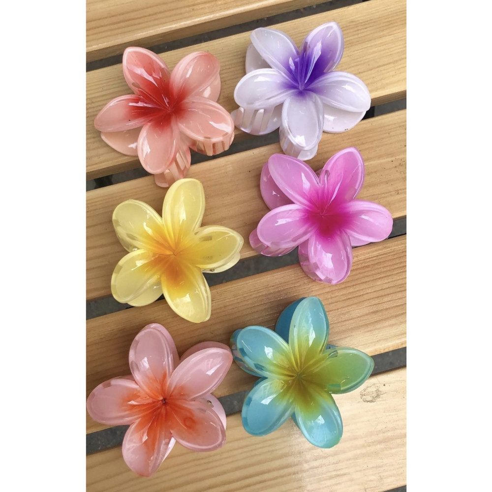 Monalisa Kadın Büyük Boy 6Lı (8cm) Renkli Lotus Toka Seti Toka, Taç & Saç Bandı Fiyatı
