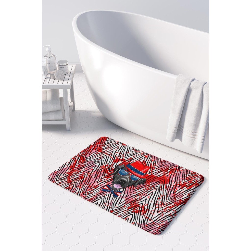 Monnhein Mikrofiber Banyo Paspası, Kaymaz Taban, Makinede Yıkanabilir, Banyo Halısı (50X80) - Mavi Araca Özel Paspaslar Fiyatı