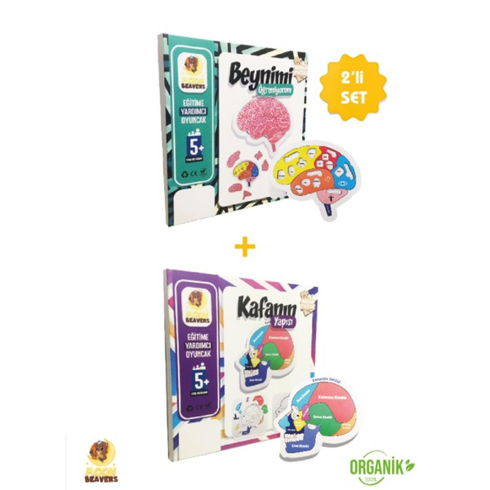 Moon Beavers Beyni ve Kafanın Yapısını Öğreten Set Oto Boyaları Fiyatı