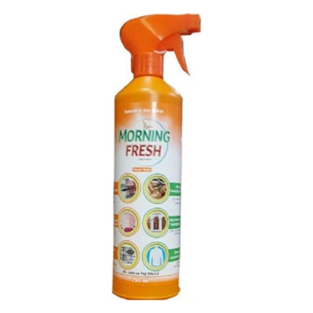 Morning Fresh Leke Ve Yağ Çözücü Power Team 750 Ml Çamaşır Yıkama Fiyatı