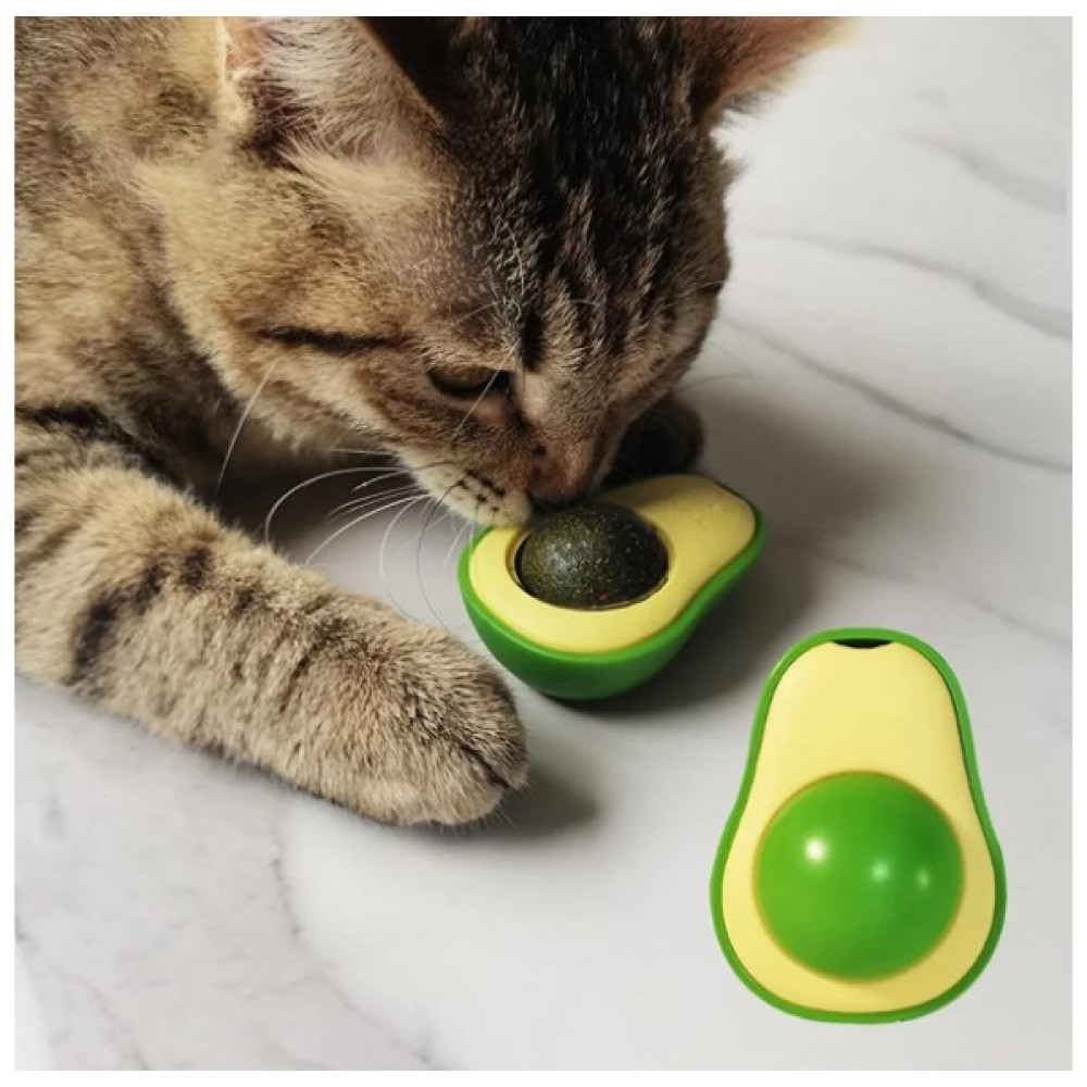 Morport Avokado Catnip Avokado Kedi Otu Topu Avokado Kedi Nanesi Oyuncağı Evcil Hayvan Ürünleri Fiyatı