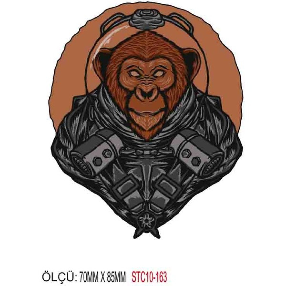 Motorsiklet Otomobil Sticker 2 Adet 159 Oto Boyaları Fiyatı