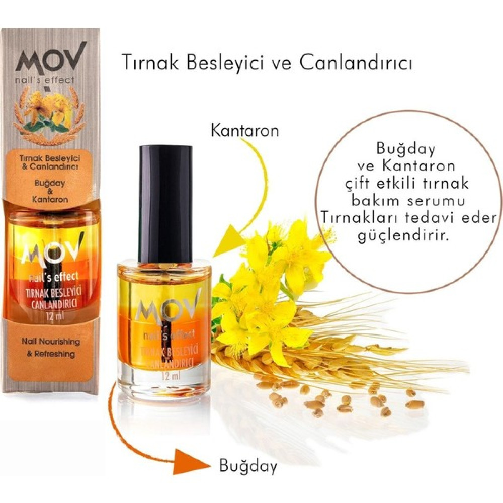 Mov Tırnak Besleyici ve Canlandırıcı Oto Boyaları Fiyatı