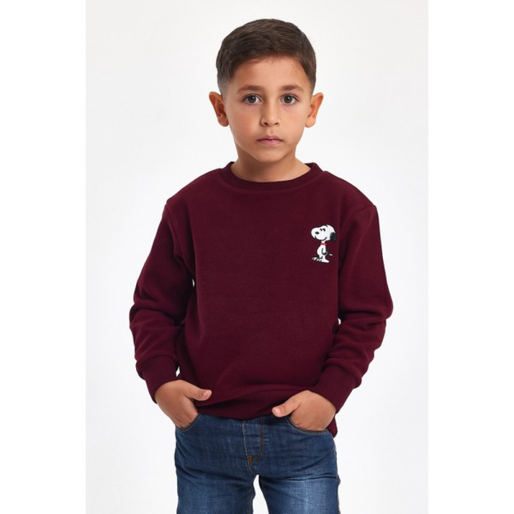Mrs & Kids Nakışlı Mürdüm Pamuk Kışlık Bisiklet Yaka Çocuk Erkek Sweatshirt Erkek Çocuk Sweatshirt Fiyatı