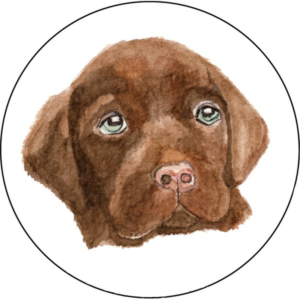 Muca Agu Patch - Çikolata Labrador Bach Bayan Çanta ve Cüzdan Fiyatı