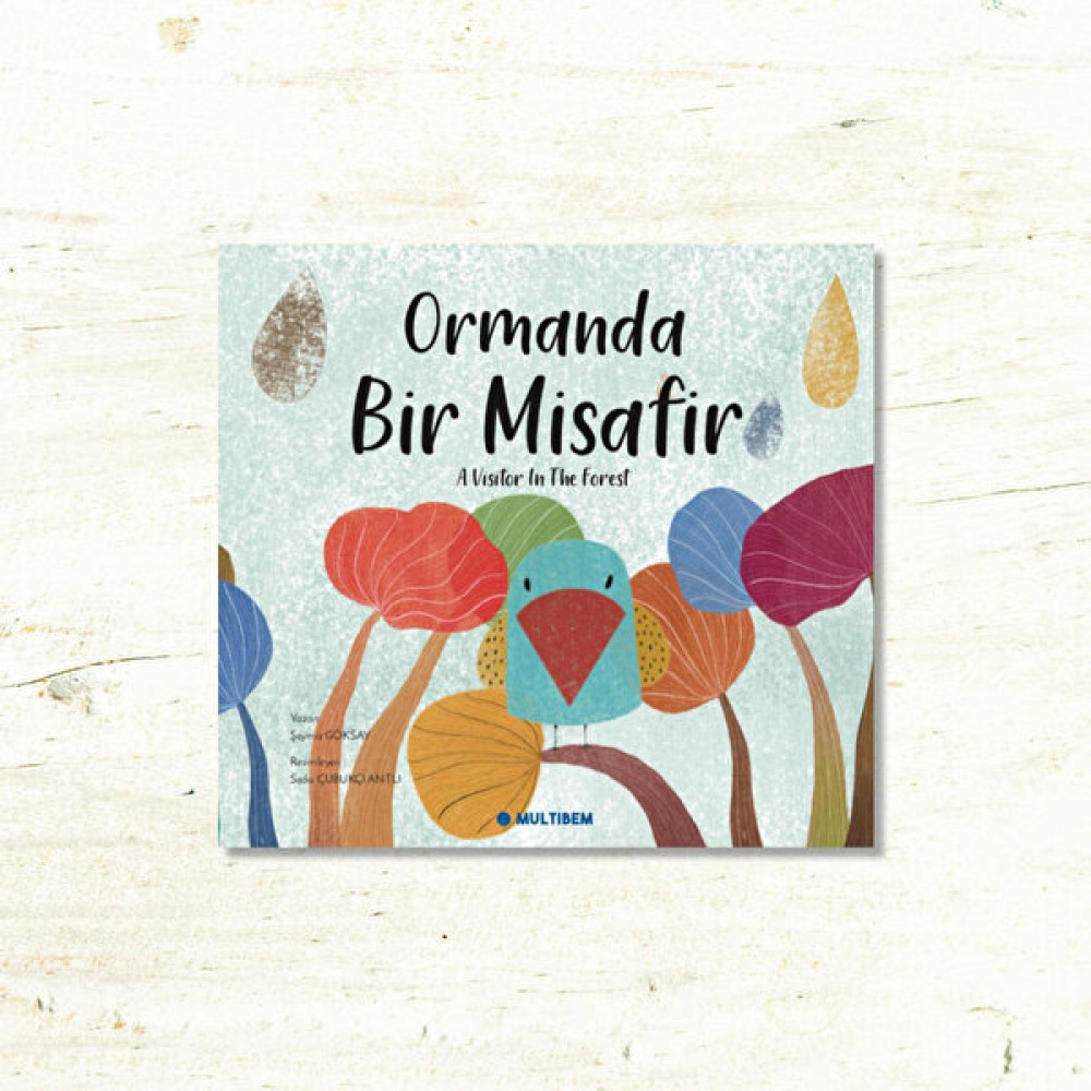 Multibem Yayınları Multibem Ormanda Bir Misafir Çocuk Oyuncağı Fiyatı