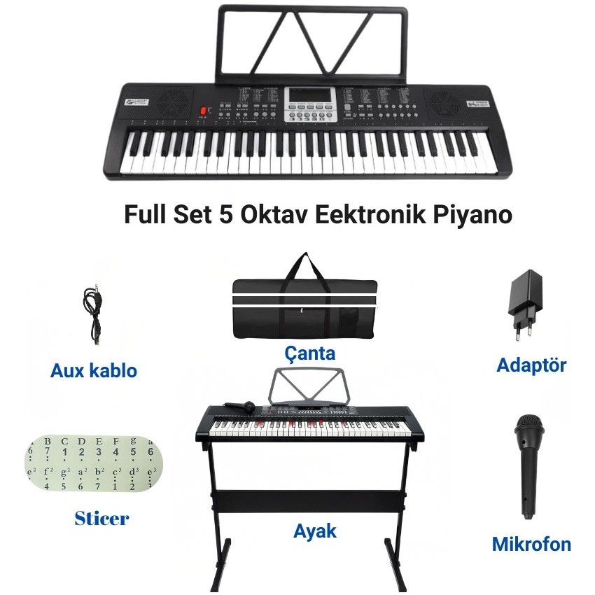 Multizone 61 Tuşlu 5 Oktav Dijital Org 100 Ses Ritim Mikrofon Nota Piyano Standı Taşıma Çantası Diğer Fiyatı