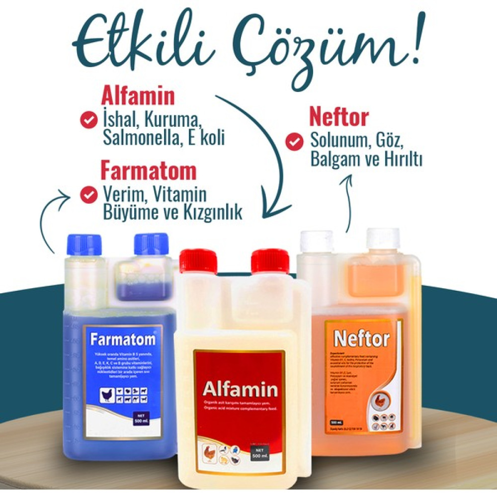 Munich Vet Kuşlar Için Farmatom Vitamin Alfamin Ishal Neftor Hirilti Seti 500 ml Evcil Hayvan Ürünleri Fiyatı