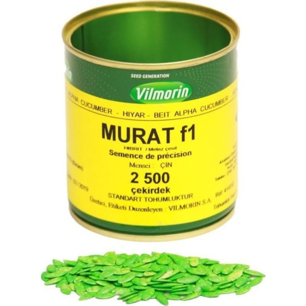 Murat F1 2500 Çk (Hibrit Oturak Hıyar) Vilmorin - 2500 Adet Tohum Fiyatı
