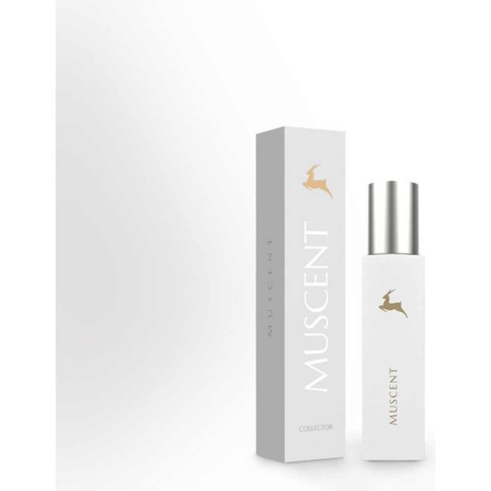 Muscent C058 Guidans - 15 ml Oto Boyaları Fiyatı