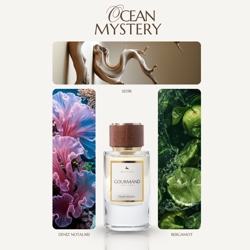 Muscent Gourmand Ocean Mystery - 50 ml Diğer Fiyatı
