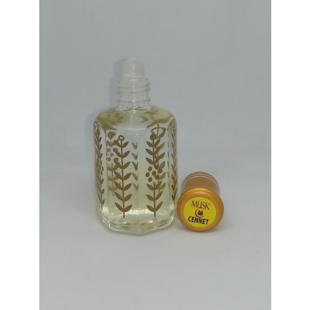 Musk Cennet Esansı 24 ml Oto Boyaları Fiyatı