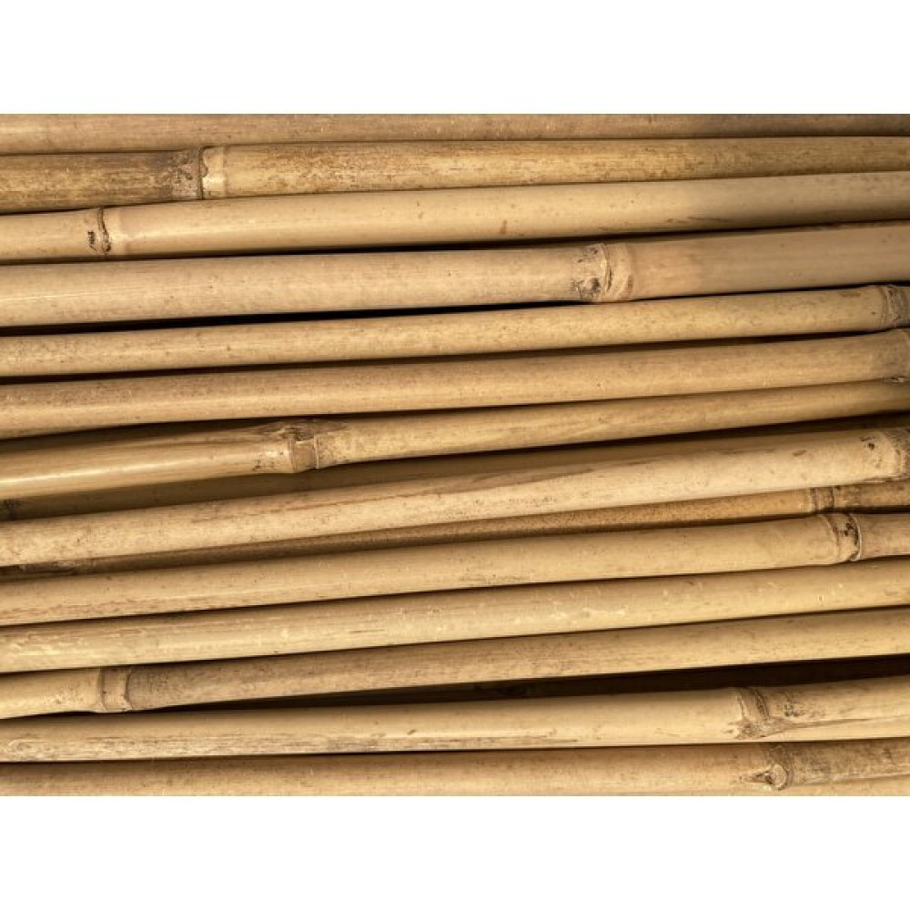 My Botanik Bambu Bitki Destek Çubuğu 105 Cm 10'lu Set Bitki Fiyatı