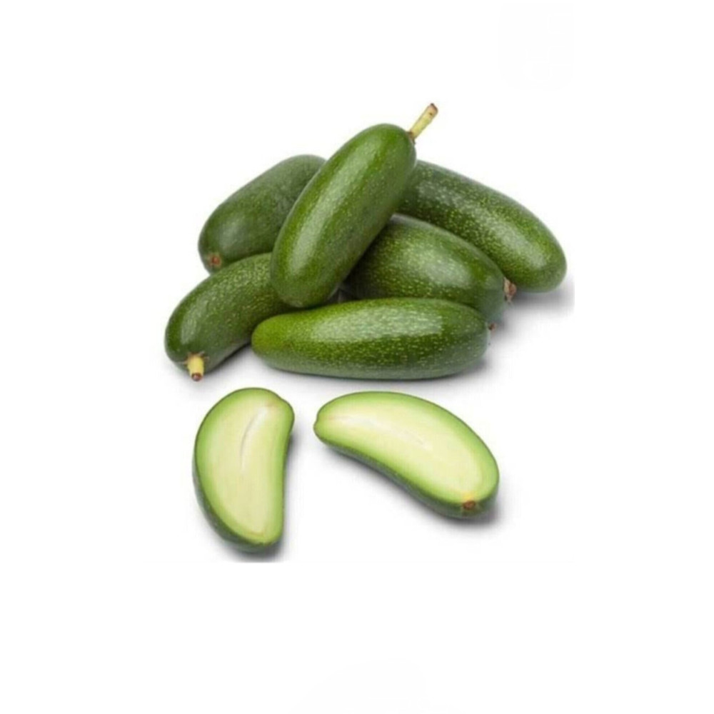 MYANAMUR 500 gr Bebek Avokado Meyve Fiyatı