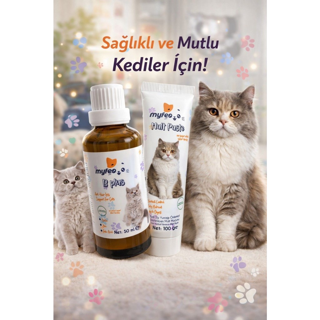 Myfeo Malt Paste ve Myfeo B Plus Damla Diğer Fiyatı