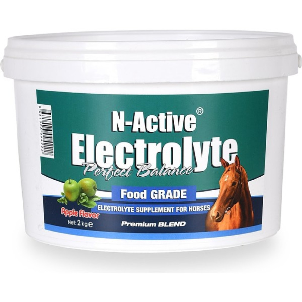 N Active Electrolyte Apple 2 kg Yeşil Oto Boyaları Fiyatı