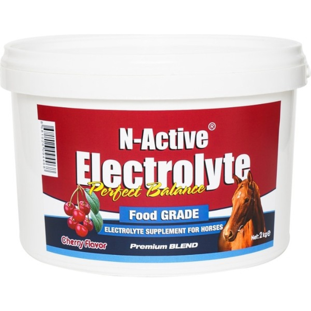 N-Active N Active Electrolyte Visne Aromali 2 kg Oto Boyaları Fiyatı