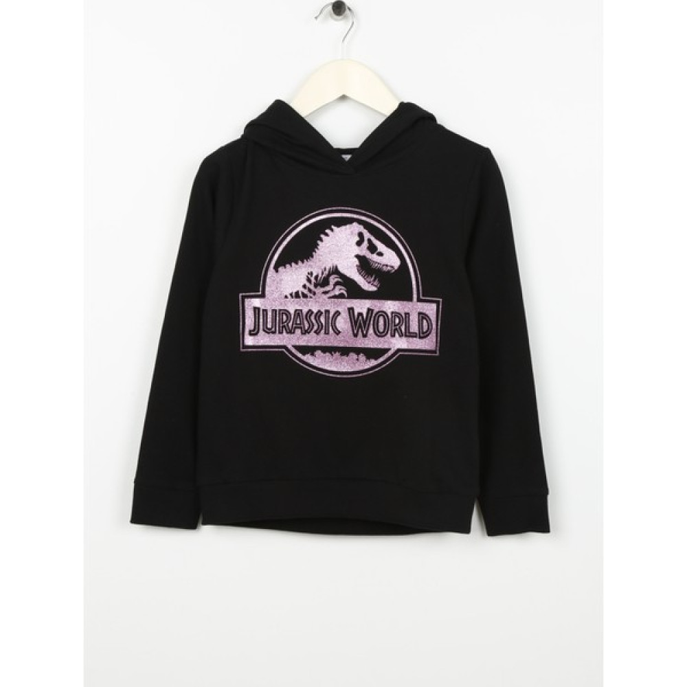 Name İt Kız Çocuk Siyah Sweatshirt Nkfjordı Jurassıc Sweat Unb Vde Bayan Sweatshirt Fiyatı